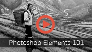 Photoshop Elements 101